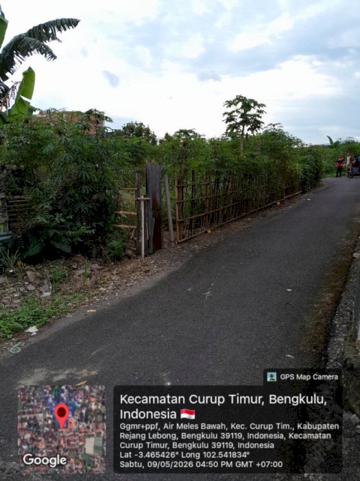 gallery cover