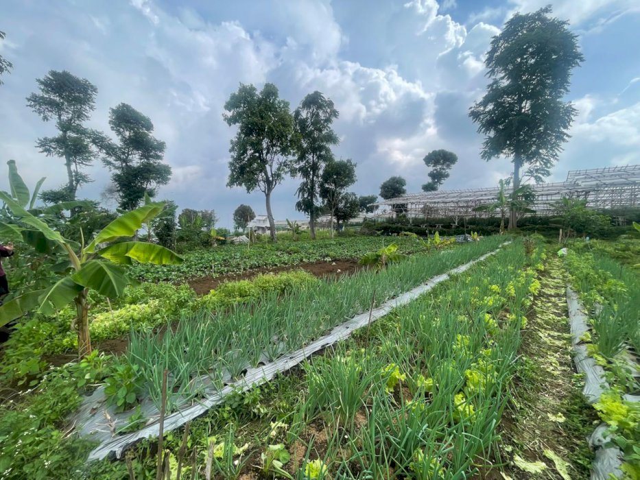 Dijual Cepat Tanah Parongpong Bandung Barat