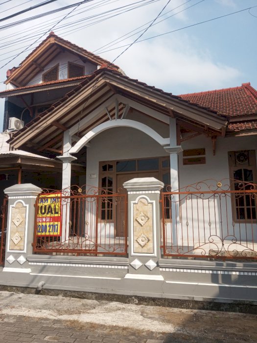 gallery cover