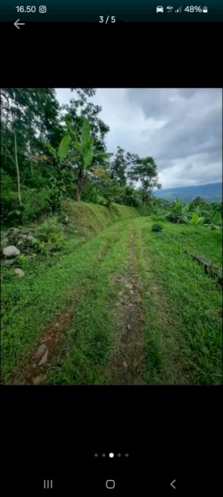 Dijual Tanah View Pegunungan Kemuning Tawangmangu – Langsung Pemilik