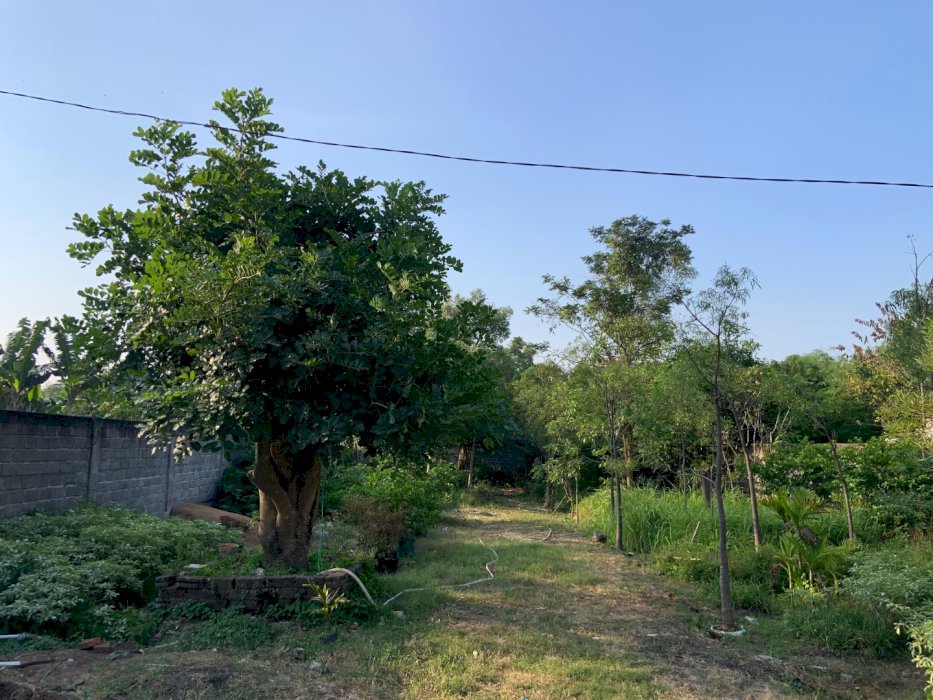 DIJUAL CEPAT TANAH STRATEGIS SHM DI KALIRONG, TAROKAN - KEDIRI