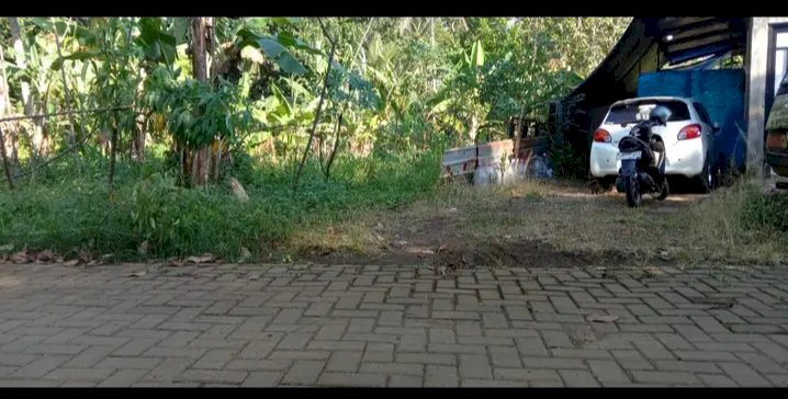 Tanah kampung murah cocok untuk investasi di gunungpati