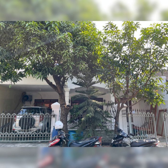 Rumah Rungkut Merr Surabaya 2 Lantai, Bangunan Diatas Ada Rumah Walet