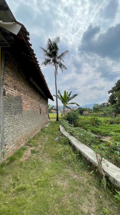 Tanah Murah 600 m² – Cocok Investasi & Kebun, Sertifikat Aman.