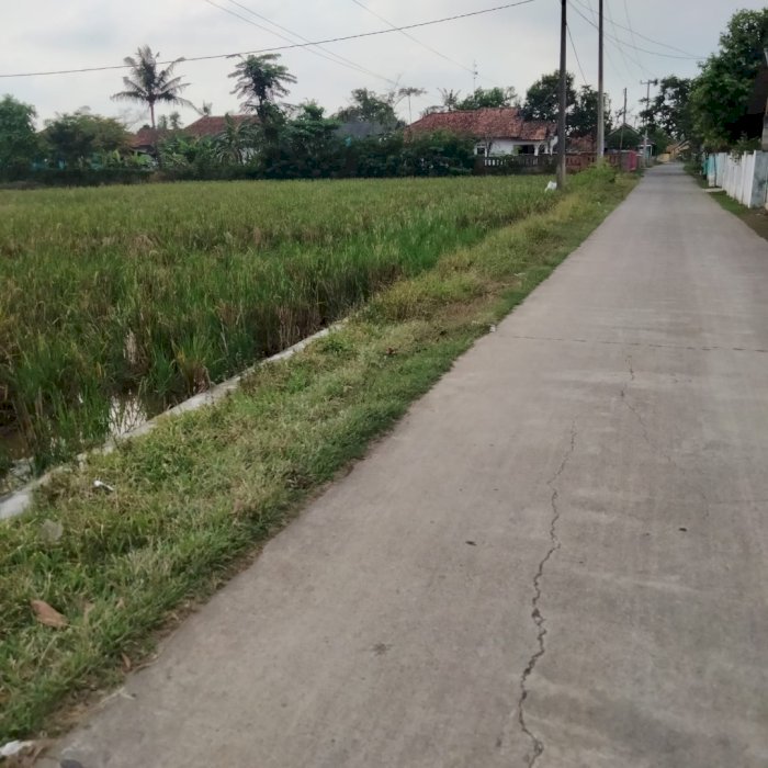 Dijual Tanah sawah harga murah lokasi strategis di Karawang Barat