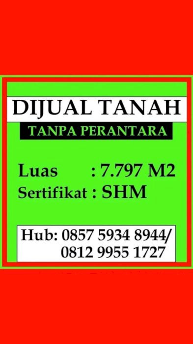 tanah kebun pertanian ada pohon kapol dan kayunya.