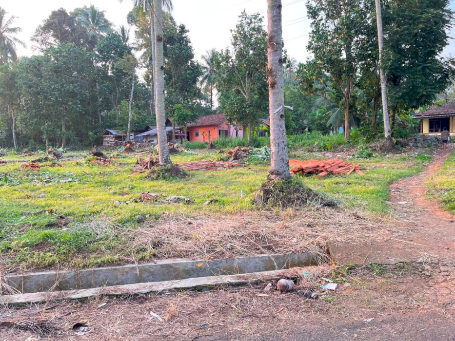Di jual tanab kavling lokasi strategis di Tanggamus Lampung