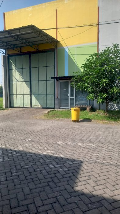 gallery cover
