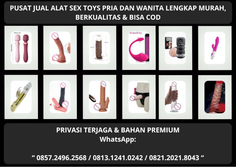 gallery cover