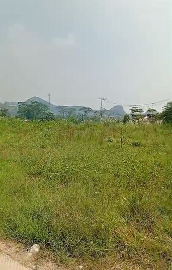 TANAH KELAPA NUNGGAL BOGOR