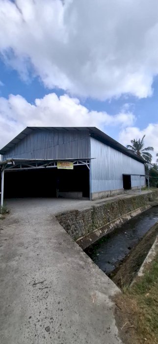 DISEWAKAN GUDANG EX LAPANGAN FUTSAL STRATEGIS DI LOMBOK