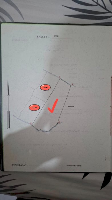 gallery cover