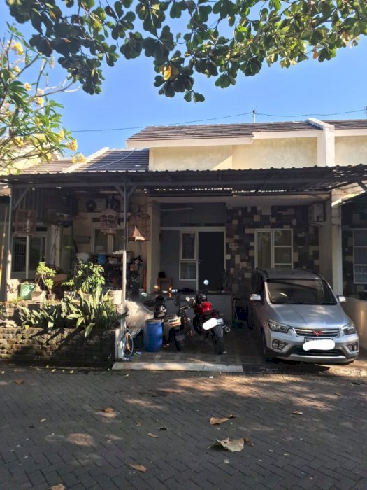 Rumah bukit Elang Sambiroto