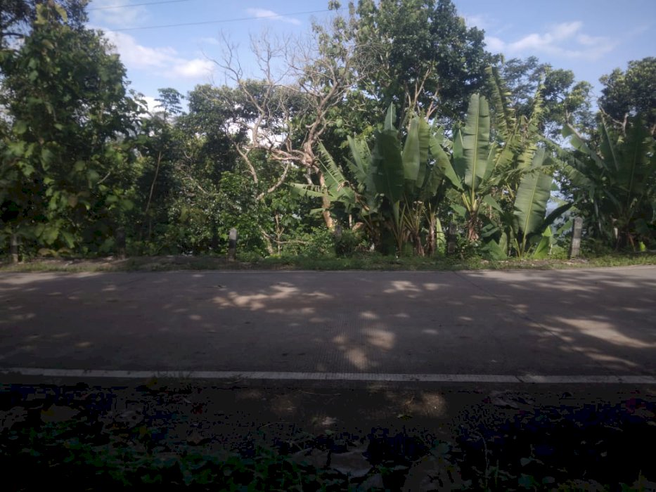 Tanah Pekarangan View Mreapi Yogyakarta