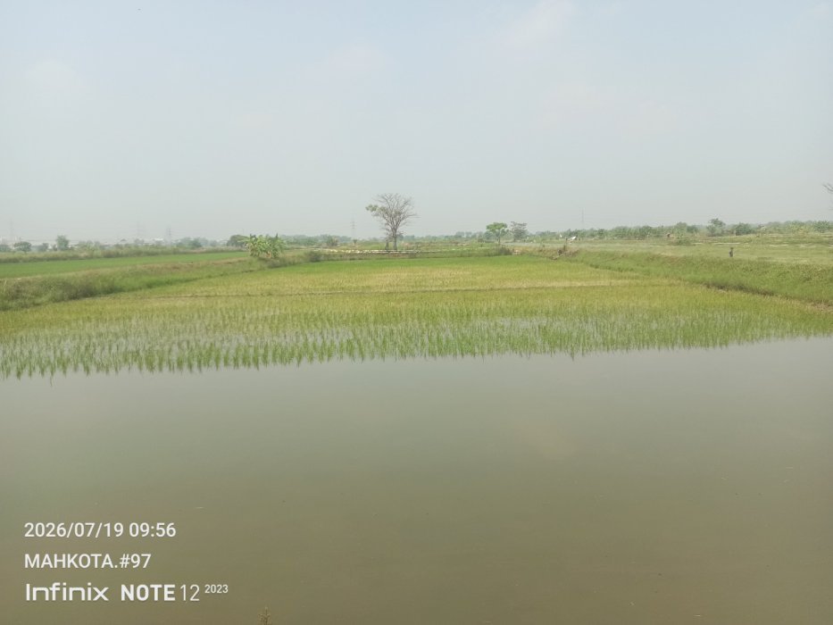 Jual tanah . Tambak. Dan sawah