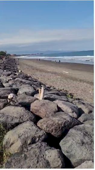 Dijual tanah loss pantai padang galak sanur
