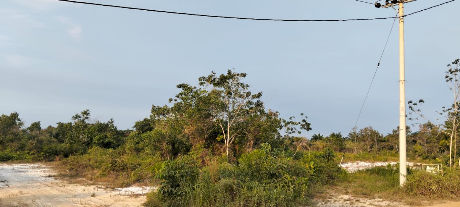 DIJUAL LAHAN 1,3 HA SHM DI LAWE-LAWE PPU - PINGGIR JALAN POROS