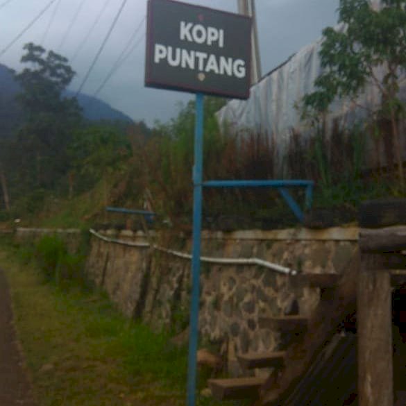 Tanah Perkebunan di Seberang Kopi Puntang