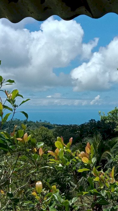 Jual Kebun, Tania Hills View Bagus