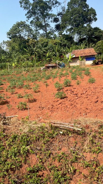 DIJUAL TANAH PRIBADI LUAS 8350METER STRATEGIS