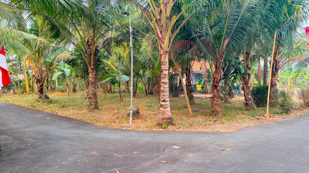 Di jual tanah pekarangan di Sanggrahan Kidul Kulon Progo