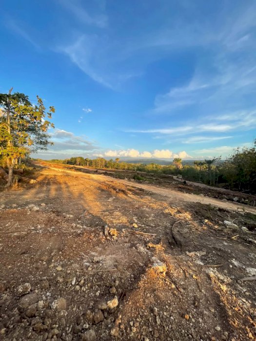 Jual tanah murah ayanda