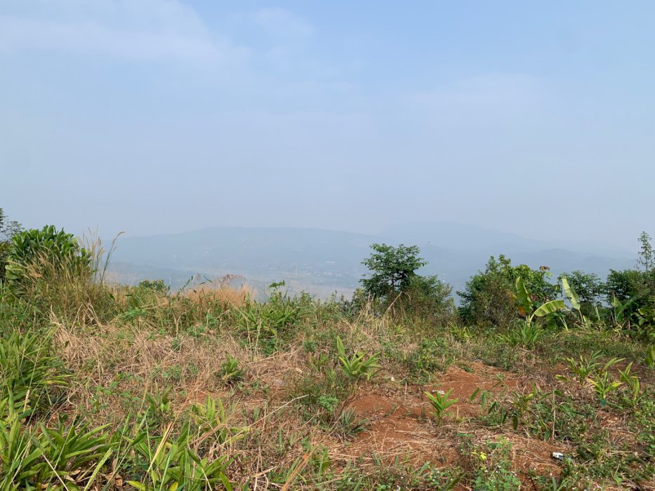 Disewakan Lahan 1,6 Ha (Tanah Merah Subur)