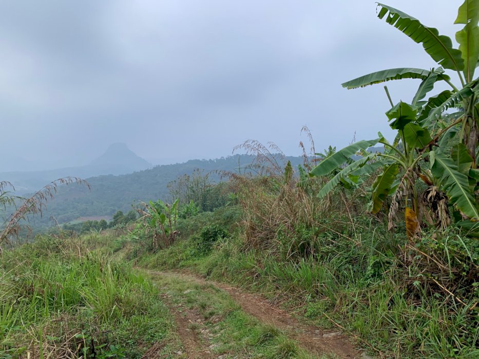 Jual Cepat Lahan Tanah Merah Subur untuk Pertanian – Hanya 150rb/m²