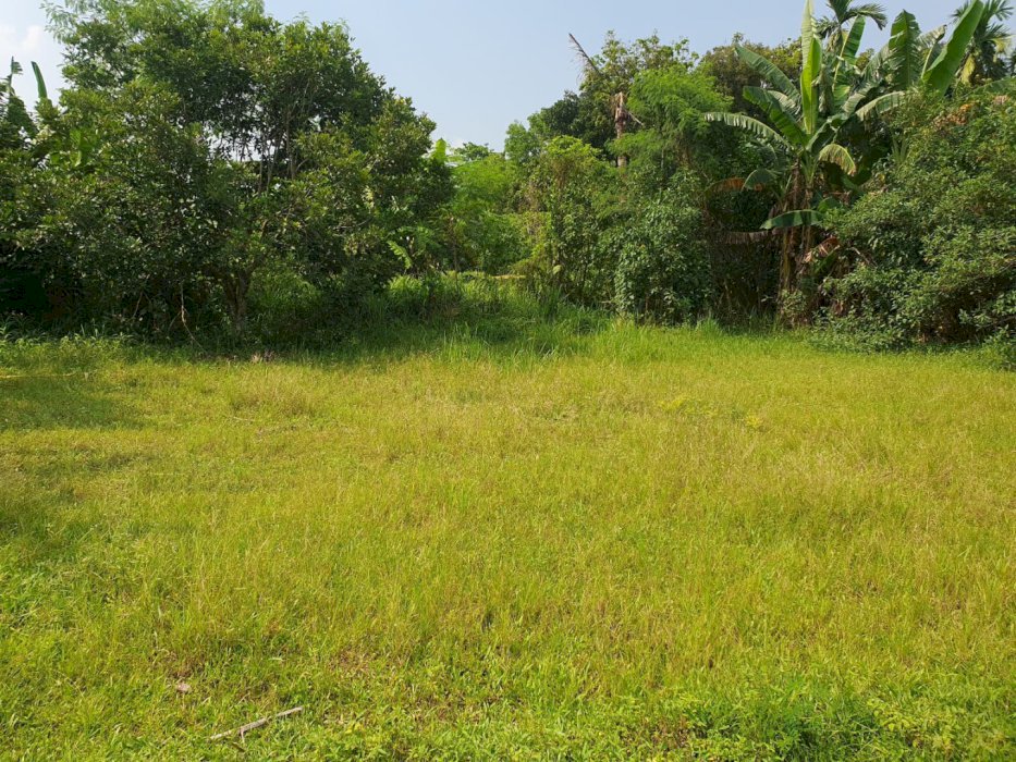 DIJUAL TANAH MURAH SIAP BANGUN DI SEI MENCIRIM - DELI SERDANG
