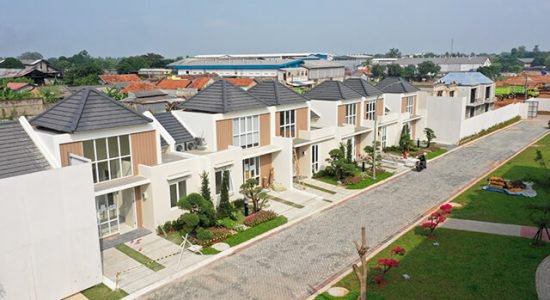 PARAMOUNT PETALS DIJUAL CEPAT