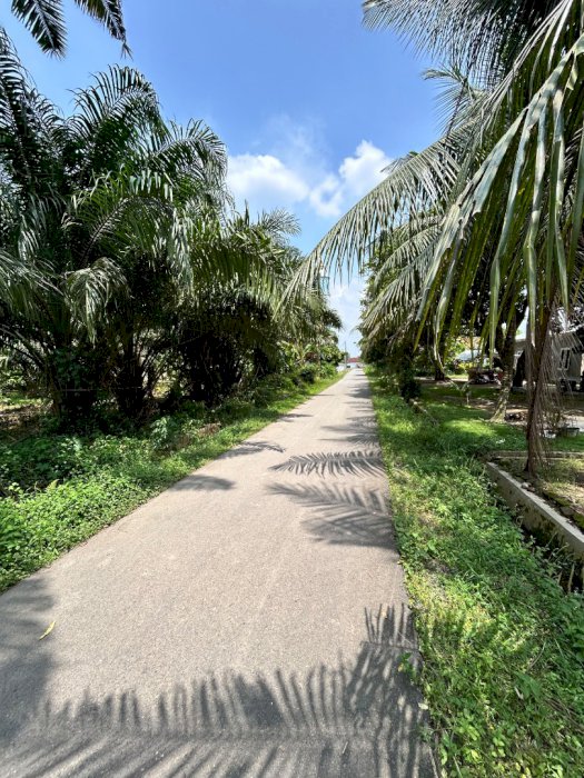 Di jual murah tanah strategis di Banten Sei Mencirim Deli Serdang